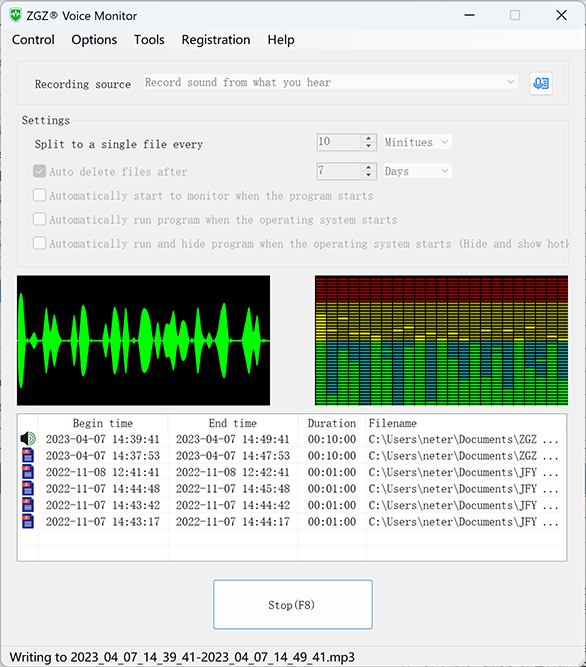 Screenshot of ZGZ Voice Monitor
